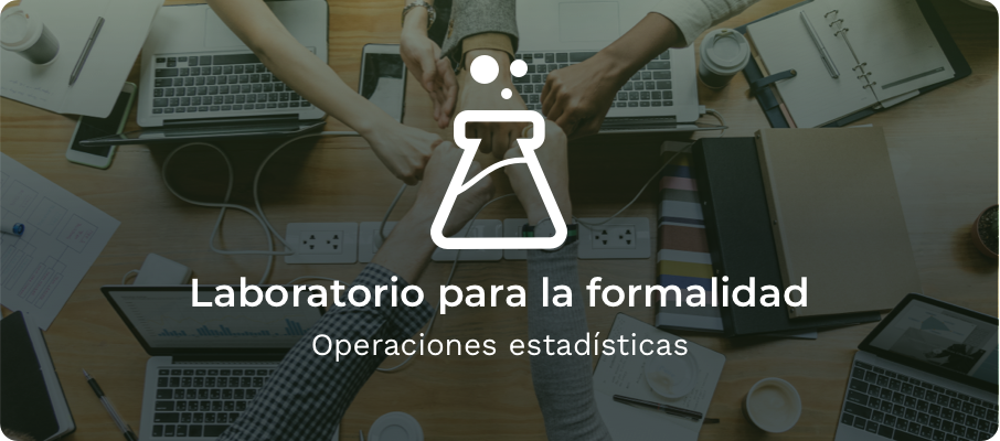 Enlace al laboratorio de la formalidad, operaciones estadísticas